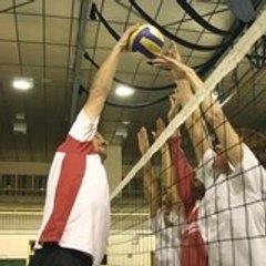 DVBManuG