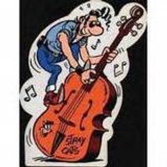 ritchy cotton pickers 54