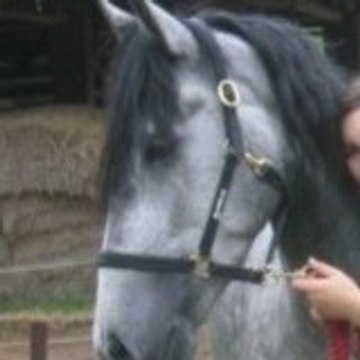 Morgane