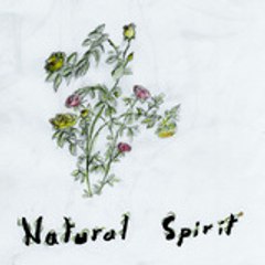 John Fitzgerald Mc Alister Delanoé