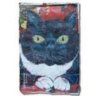 Dominique Asteggiano