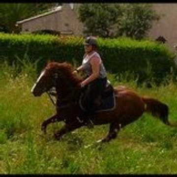 Lora_du_83