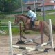 camille6906