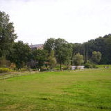 tombapt
