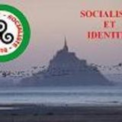 FRONT SOCIALISTE EUROPEEN