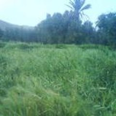 tmoulay76