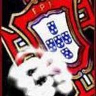 ************************