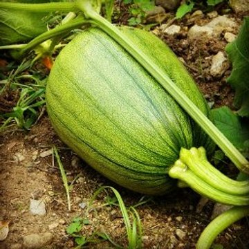 The Holiday Kitchen from Handmade TV