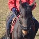 philouhorse