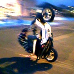 VYGUER81