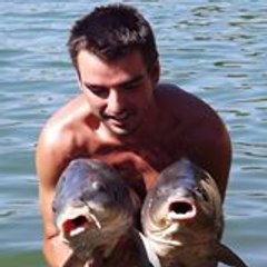 Nicolas Tarrade-Alfonsi