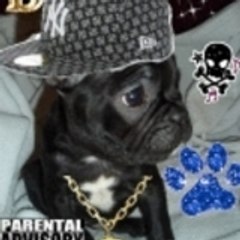 cin-killa