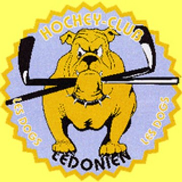 hockeyrollerlons