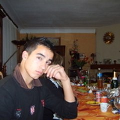 ludovic pétrélouzzi