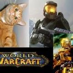 chatchat125