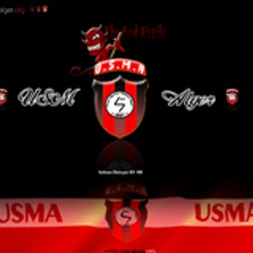 usma31