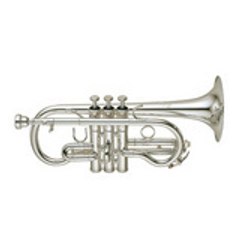 Brass Band de Champagne