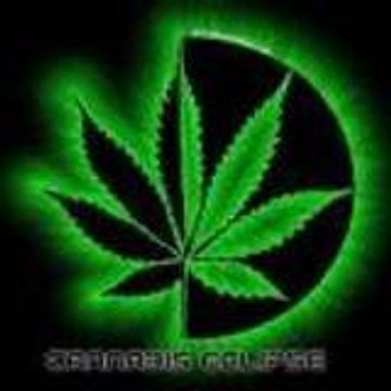 canaweed313