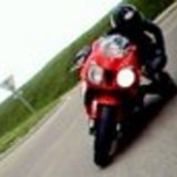 Spone51