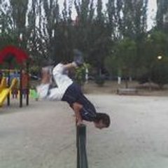 pkmc_puma