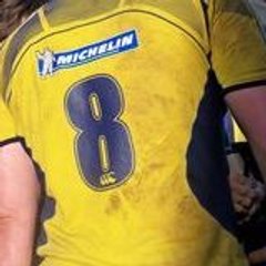 david