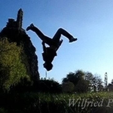 Wilfried Phan