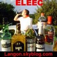 langonskyblog