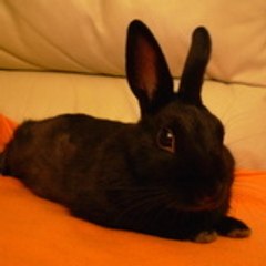 Zazoo07