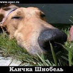 SlaVVa