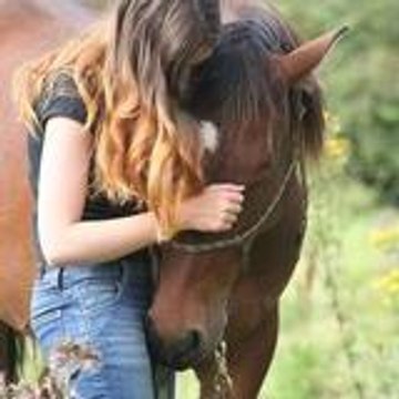 equi-ethologie