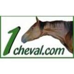 JFR 1cheval.com