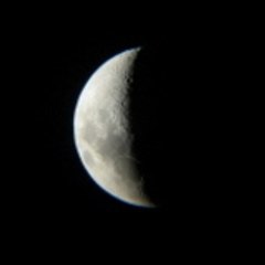 Orion
