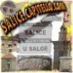 Salice2a