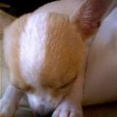 pullmeanotherglassmoon