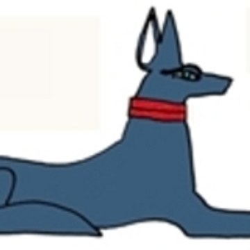 Jean-Marie David - Réalisateur documentaire