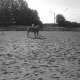 vanassche
