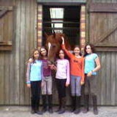 k1m-and-l3scaut