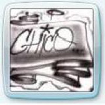 Chicobo21