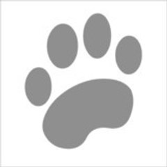 Elevage bellevanille