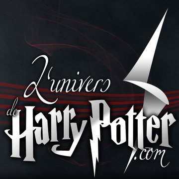 Harry Potter (UniversHarryPotter.com)