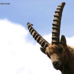 oudad2