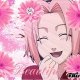 sakuralove2