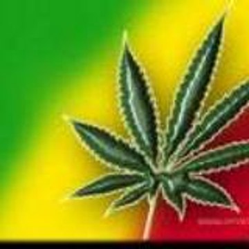 cannabis land