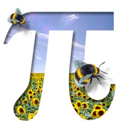 PiBee