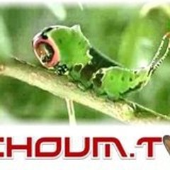 Charles Choum