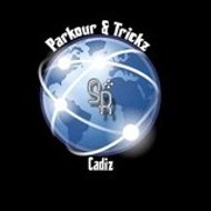 David Jesus Alfaro Rios