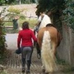 Equine-Haf