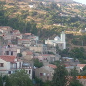 kabyle ZD