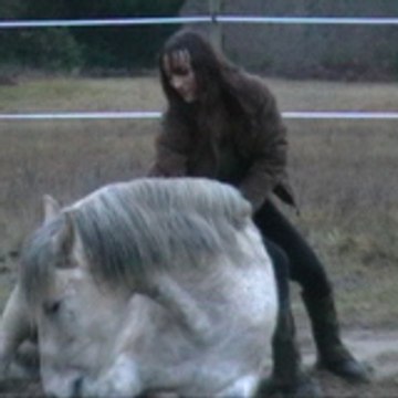 lyly