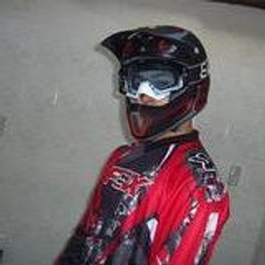 Ligeron Steve